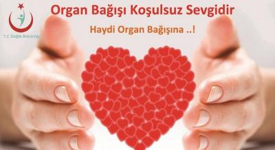 3-9 Kas�m Organ Ba��� Haftas�